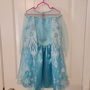 Elsa and Anna from Frozen Costumes